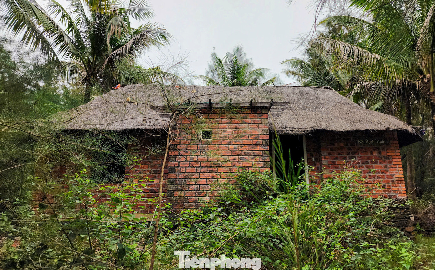 Một số căn nhà gỗ nghỉ dưỡng xây gạch bao quanh, mái lá nằm cạnh khu dự án từng được công nhân tận dụng làm chỗ nghỉ nay bị bỏ hoang, cỏ mọc um tùm và không bóng người qua lại.