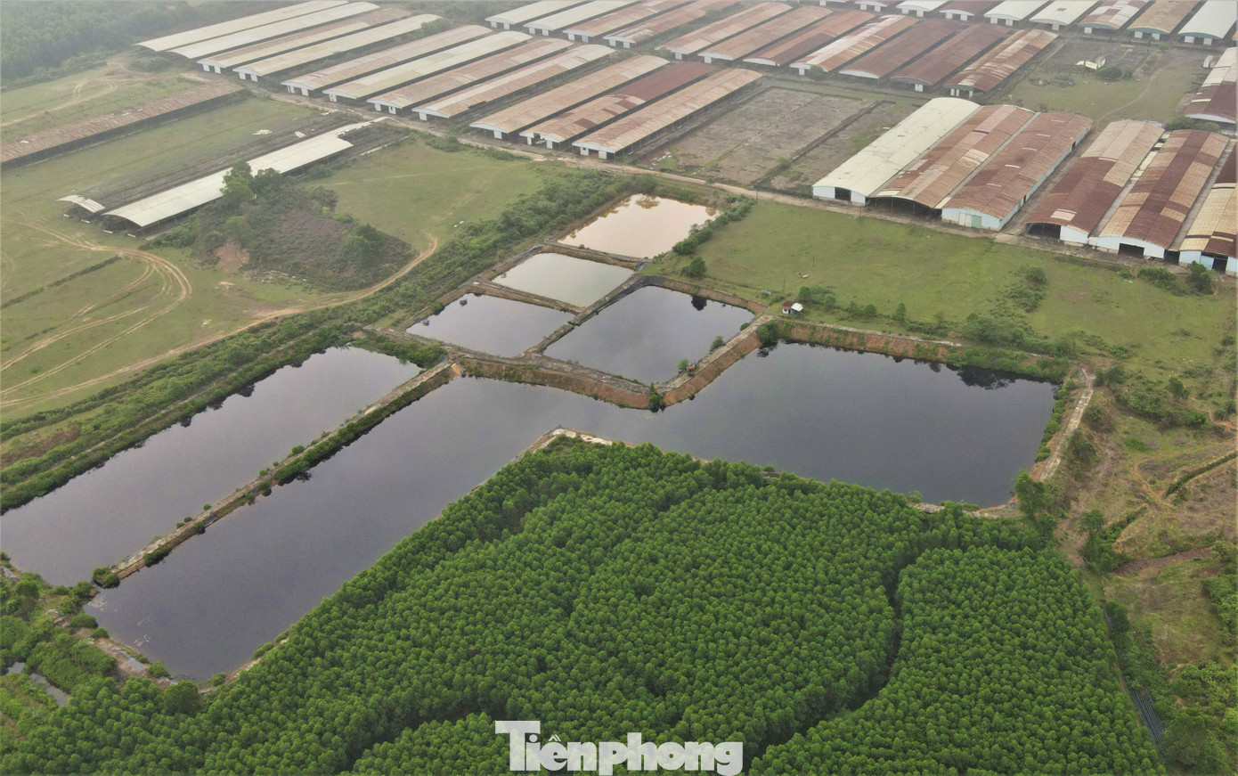 “Phần đất của Công ty Bình Hà trên địa bàn 2 xã Cẩm Mỹ và Cẩm Quan là rất lớn. Địa phương cũng từng nhiều lần đề xuất tỉnh xem xét nếu dự án không hiệu quả thì thu hồi, cắt chuyển phần diện tích đất để huyện phân bổ cho người dân sản xuất, song do vướng tài sản trên đất và các thủ tục cần thiết nên chưa thể xử lý”, Phó Chủ tịch UBND huyện Cẩm Xuyên thông tin.