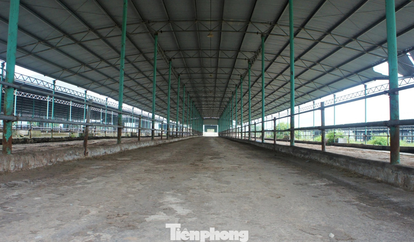 Chuồng trại trống không, không một con bò được nuôi nhốt, xuống cấp theo thời gian.