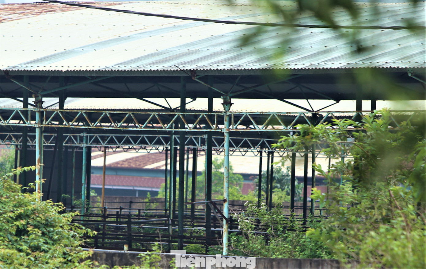 Chuồng trại trống không, không một con bò được nuôi nhốt, xuống cấp theo thời gian.