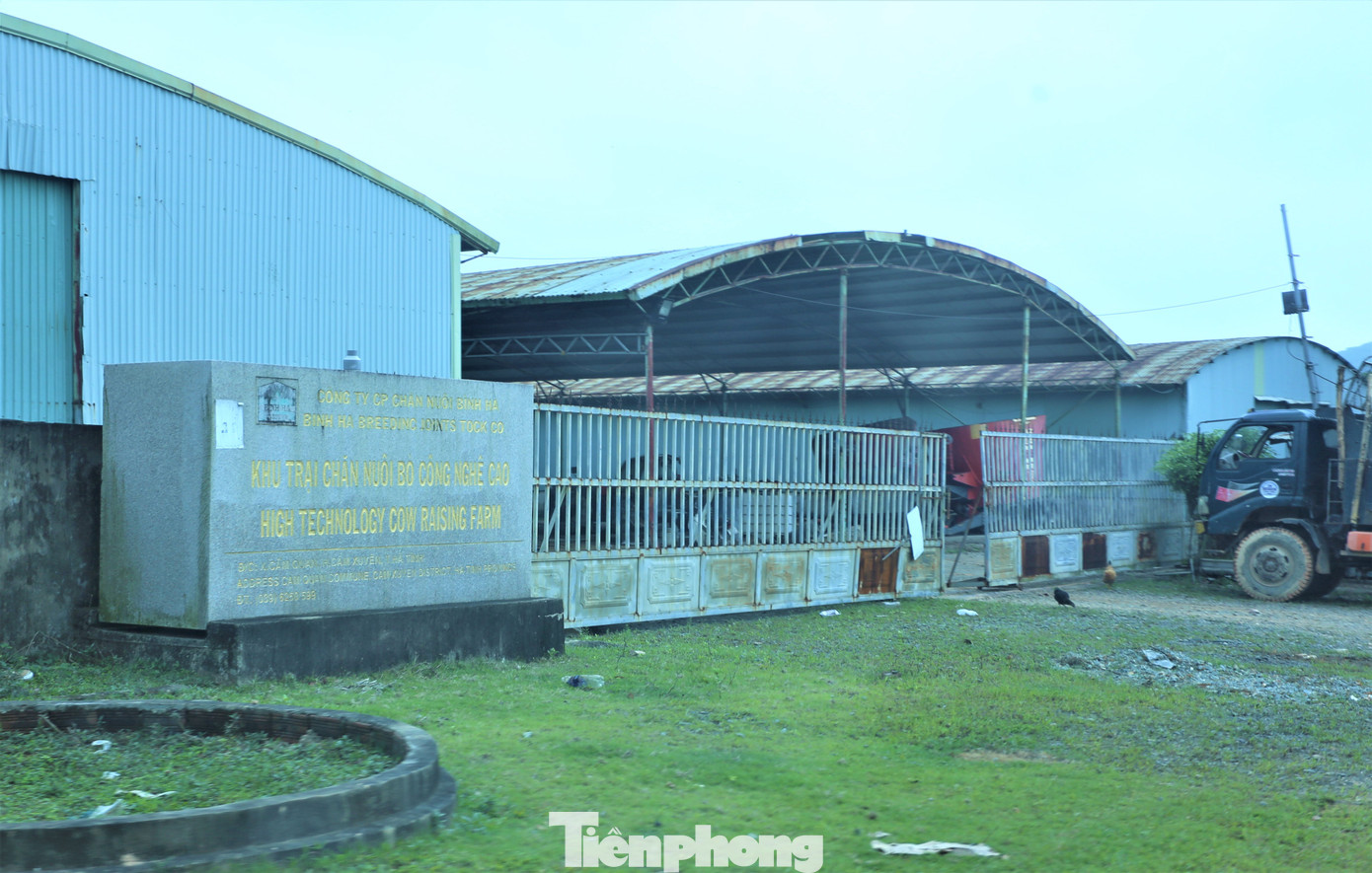 Một bảo vệ tại đây cho biết, hiện công ty có nuôi bò ở dãy chuồng thuộc huyện Kỳ Anh, tại huyện Cẩm Xuyên này chủ yếu chỉ trồng sắn và sắp sửa trồng dứa.