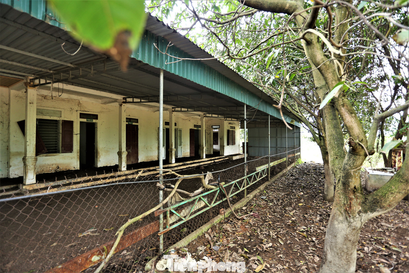 Một số khu nhà công nhân, hành chính của công ty bỏ hoang, nhếch nhác, vương vãi phân gia súc.