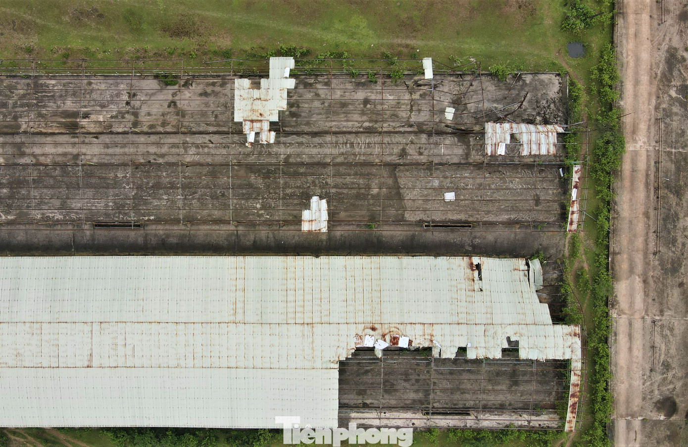 “Xã đã nhiều lần tuyên truyền, ngăn chặn việc người dân chiếm đất doanh nghiệp song Công ty Bình Hà cần có trách nhiệm hơn trong bảo vệ tài sản. Nhà nước đã giao đất cho nhưng dự án không hiệu quả, đất bỏ hoang rồi buông lỏng quản lý, người dân thấy tiếc đất nên vào lấn chiếm trồng keo”, ông Thành nói.