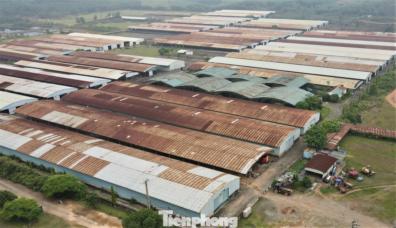 Tuy nhiên, dự án sau đó không hiệu quả, lãnh đạo công ty và một số cán bộ ngân hàng liên quan cho dự án vay vốn bị khởi tố. Tháng 5/2021, dự án được UBND tỉnh Hà Tĩnh chấp thuận chủ trương điều chỉnh quy mô giảm còn hơn 1.200 ha với tổng vốn đầu tư 1.800 tỷ đồng.