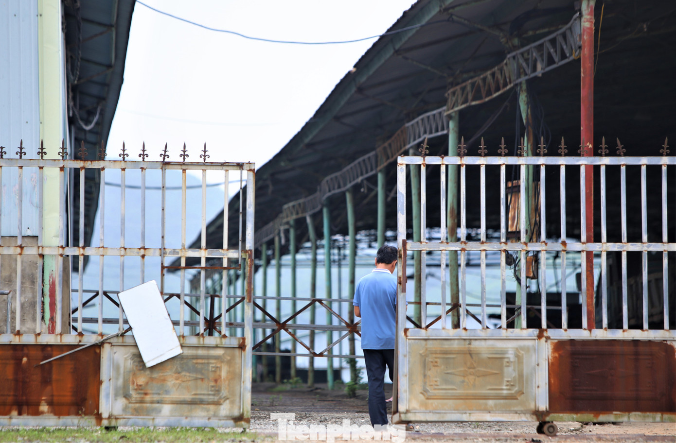 Cả khu chăn nuôi rộng cả nghìn ha và khu vực nhà xưởng chỉ có một vài bảo vệ trông coi.