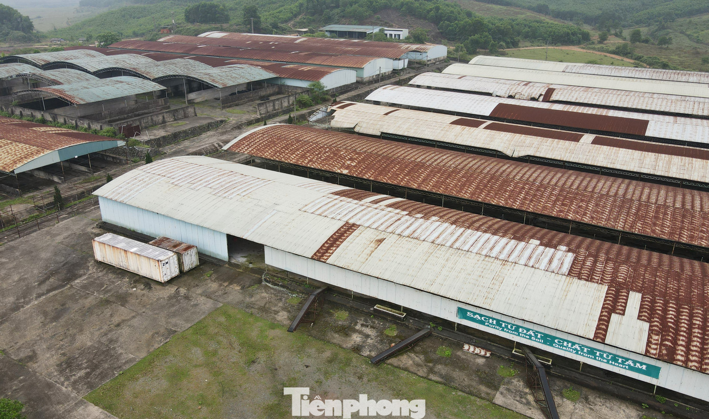 Quy mô đàn bò giảm xuống còn 35.000 con, đồng thời bổ sung thêm trồng các loại dứa, chuối, ngô, cây ăn quả, cỏ, dược liệu. Sau điều chỉnh dự án, Công ty Bình Hà và đối tác kinh doanh là Công ty CP Thương mại đầu tư phát triển Do Holdings (TPHCM) đã kết hợp chăn nuôi và trồng ngô, sắn nguyên liệu, cỏ, dứa và cây dược liệu nhưng không hiệu quả nên từ cuối tháng 3/2023, đối tác đã rút lui khỏi dự án.