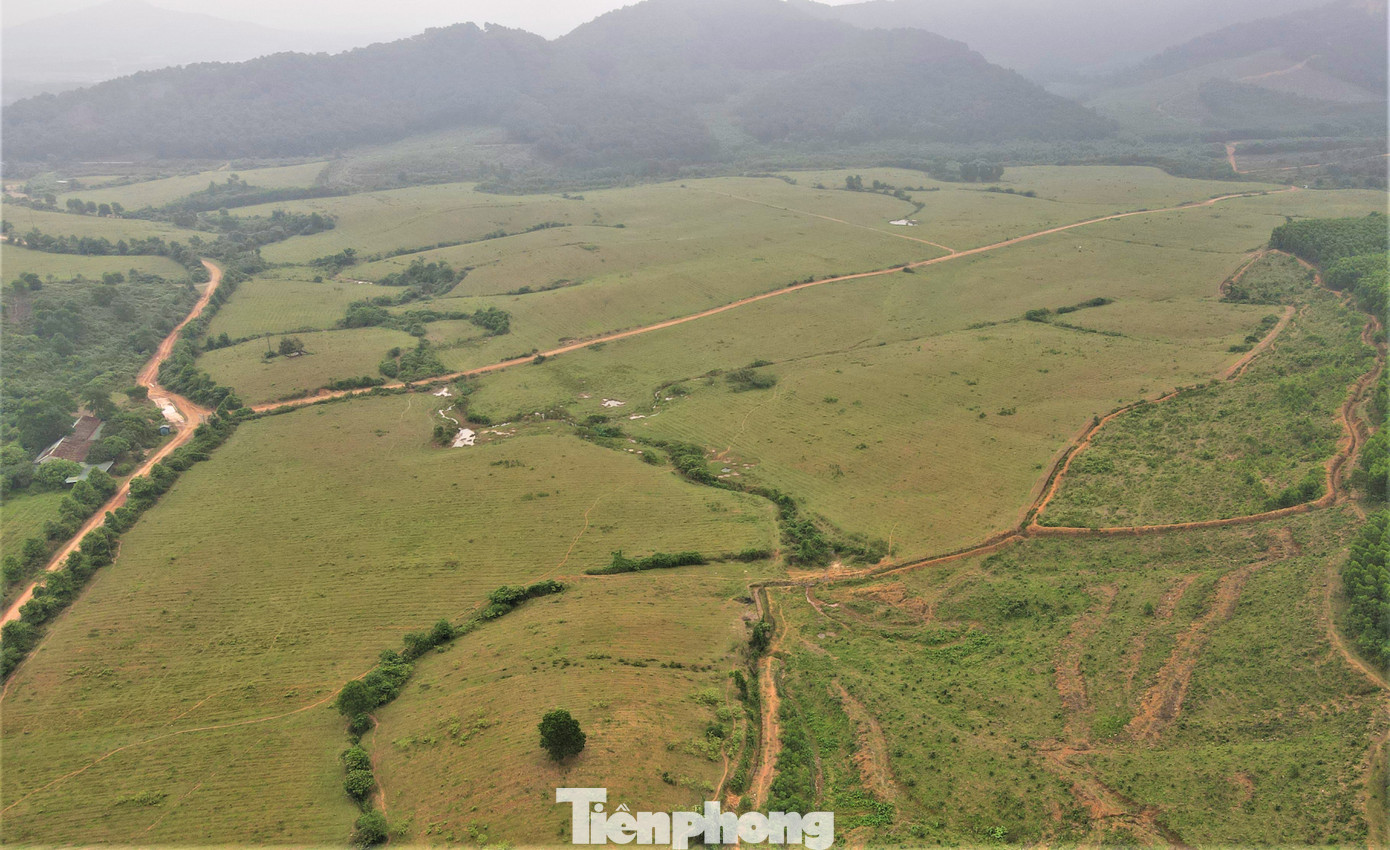 Người dân địa phương cho biết nhiều năm dự án không còn chăn nuôi, trồng trọt nên thấy đất bỏ hoang, họ tiếc nuối.