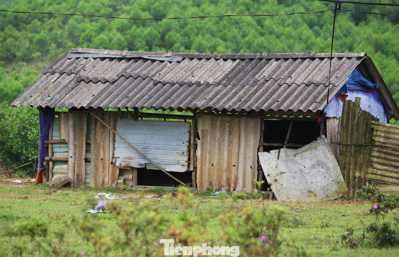Ông Phạm Văn Thành - Chủ tịch UBND xã Cẩm Quan, huyện Cẩm Xuyên - cho hay, địa phương có hàng trăm ha đất rừng giao cho Công ty CP Chăn nuôi Bình Hà. Tuy nhiên, nhiều năm qua, dự án của công ty này không có hiệu quả, đất đai bỏ hoang, dẫn đến tình trạng người dân địa phương chiếm đất trồng keo. Trong hình, máy móc chất đầy kho bãi, một số phơi mưa phơi nắng.