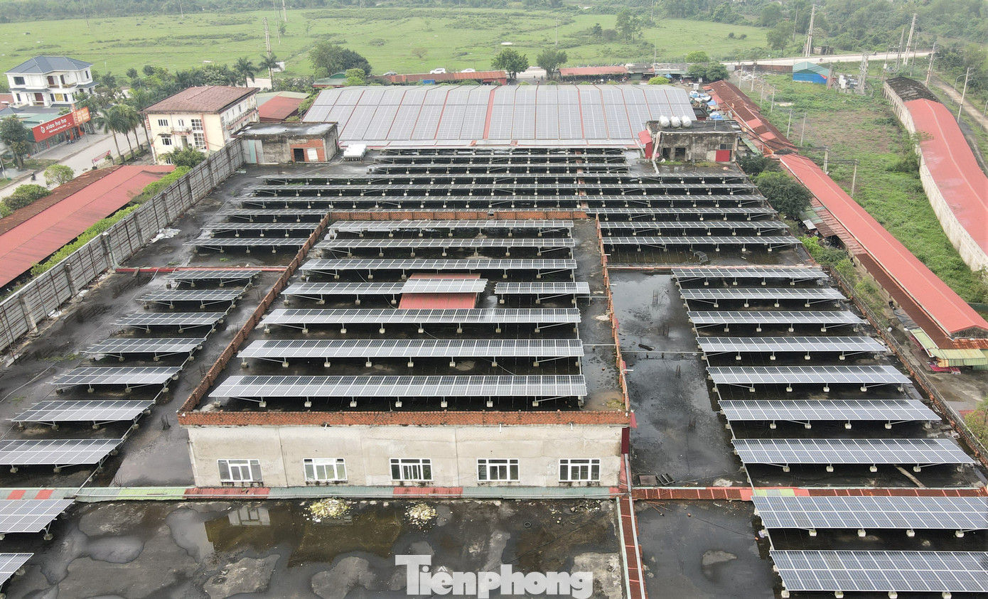 Giai đoạn 1 xây dựng chợ Hội (chợ loại 1) có 1.000 gian hàng với tổng mức đầu tư 251 tỷ đồng, trên diện tích 4,4ha. Đến năm 2013, chợ Hội đưa vào sử dụng, trở thành trung tâm bán buôn, bán lẻ được đánh giá là lớn nhất khu vực với nhiều mặt hàng. Giai đoạn 1 xây dựng chợ Hội (chợ loại 1) có 1.000 gian hàng với tổng mức đầu tư 251 tỷ đồng, trên diện tích 4,4ha. Đến năm 2013, chợ Hội đưa vào sử dụng, trở thành trung tâm bán buôn, bán lẻ được đánh giá là lớn nhất khu vực với nhiều mặt hàng.