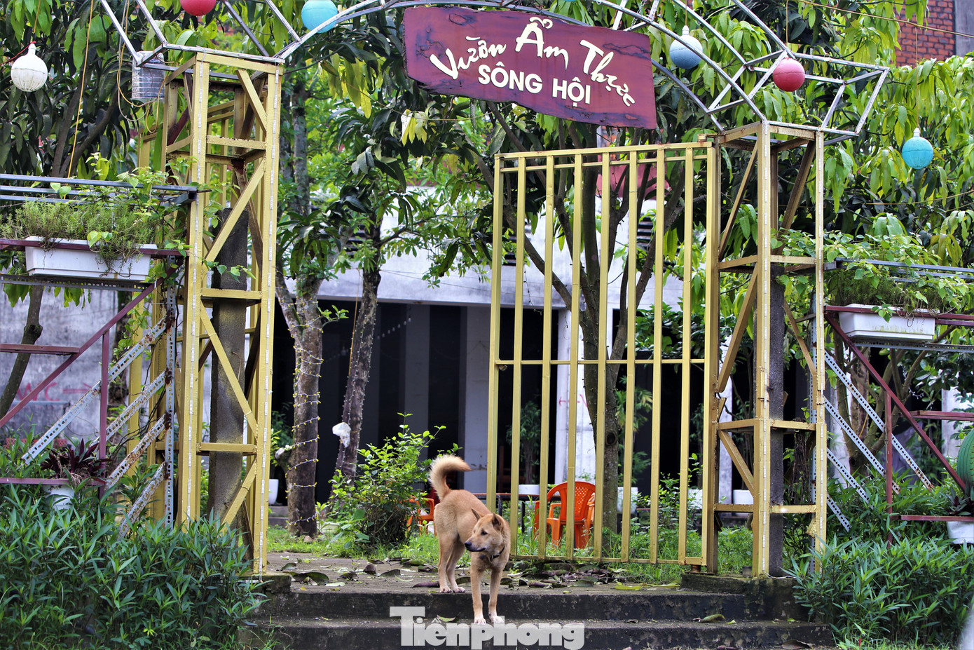 Một số vị trí được thuê làm các quán nhậu, ăn uống. Các ki-ốt chưa được thuê trở thành nơi vứt rác. Một số vị trí được thuê làm các quán nhậu, ăn uống. Các ki-ốt chưa được thuê trở thành nơi vứt rác.