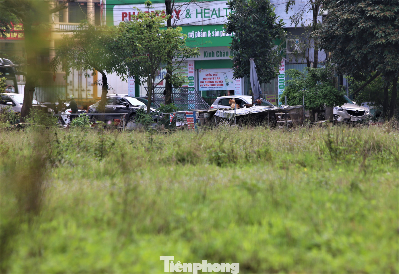 Dự án này nằm tại vị trí khu đất đắc địa 4 mặt tiền, cạnh quốc lộ 1A và giữa trung tâm thị trấn Cẩm Xuyên. Tuy nhiên, dự án từ đó đến nay chỉ là bãi đất trống, cỏ cây mọc um tùm. Dự án này nằm tại vị trí khu đất đắc địa 4 mặt tiền, cạnh quốc lộ 1A và giữa trung tâm thị trấn Cẩm Xuyên. Tuy nhiên, dự án từ đó đến nay chỉ là bãi đất trống, cỏ cây mọc um tùm.