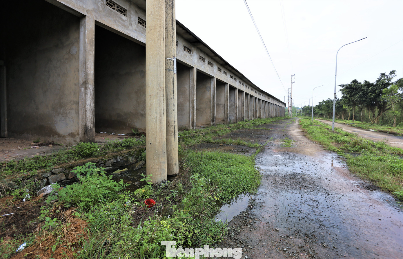 Tuy nhiên, nhiều năm qua, một số hạng mục tại khu chợ vẫn chưa hoàn thiện như các dãy ki-ốt bán hàng, các dãy nhà phía trước trung tâm tổ chức sự kiện. Tuy nhiên, nhiều năm qua, một số hạng mục tại khu chợ vẫn chưa hoàn thiện như các dãy ki-ốt bán hàng, các dãy nhà phía trước trung tâm tổ chức sự kiện.