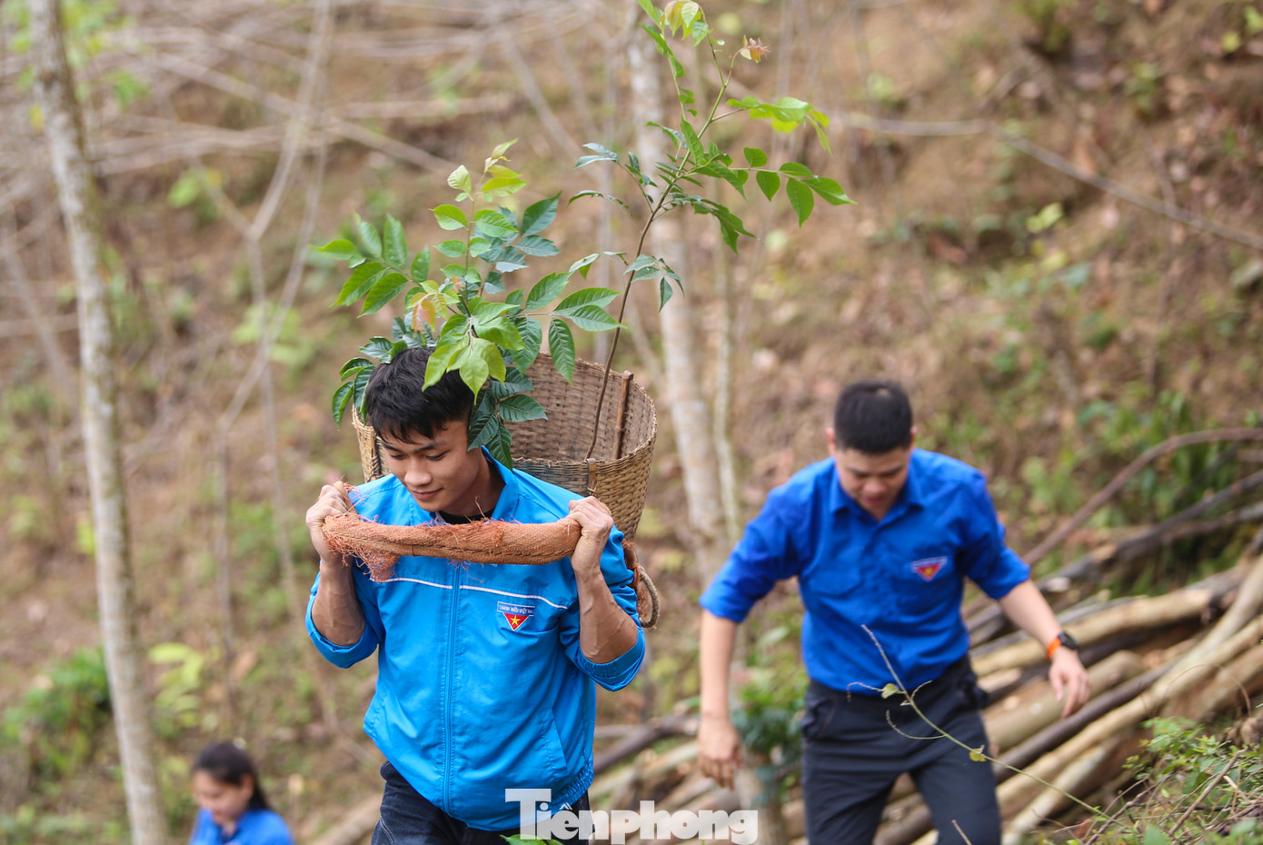 Đại diện Ban Nội chính Trung ương hào hứng với mô hình sinh kế trồng hơn 500 cây lát hoa cho người dân vùng biên xứ Nghệ.