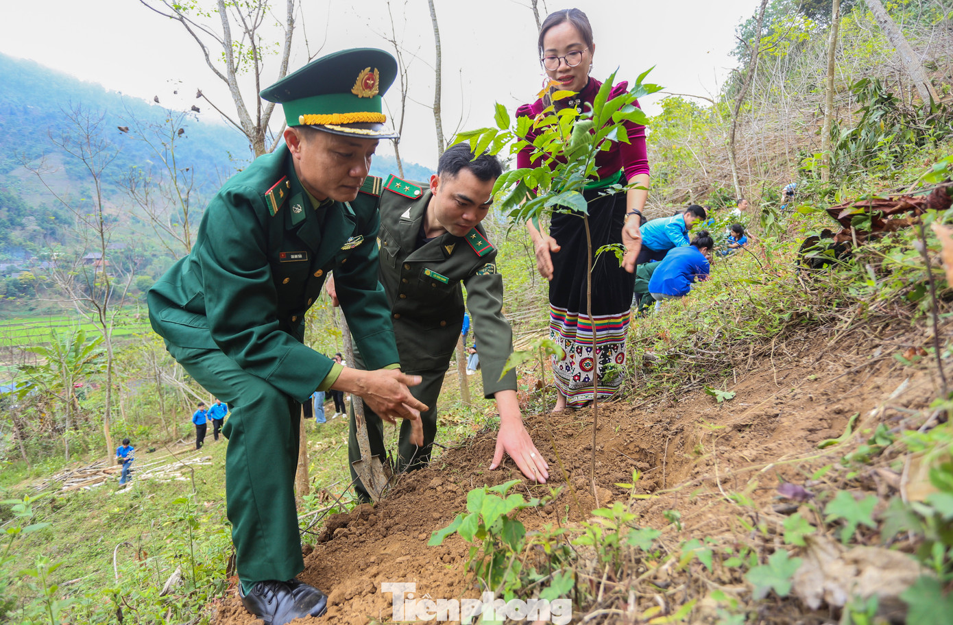 Đại diện Ban Nội chính Trung ương hào hứng với mô hình sinh kế trồng hơn 500 cây lát hoa cho người dân vùng biên xứ Nghệ.
