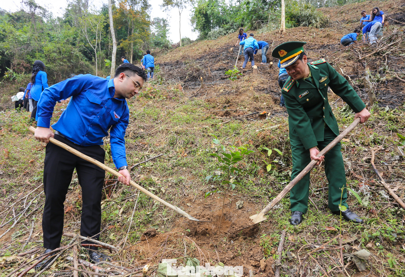 Anh Hồ Phúc Hải – Phó Bí thư Tỉnh Đoàn Nghệ An cùng cán bộ Đồn Biên phòng Thông Thụ tham gia trồng cây theo mô hình sinh kế.