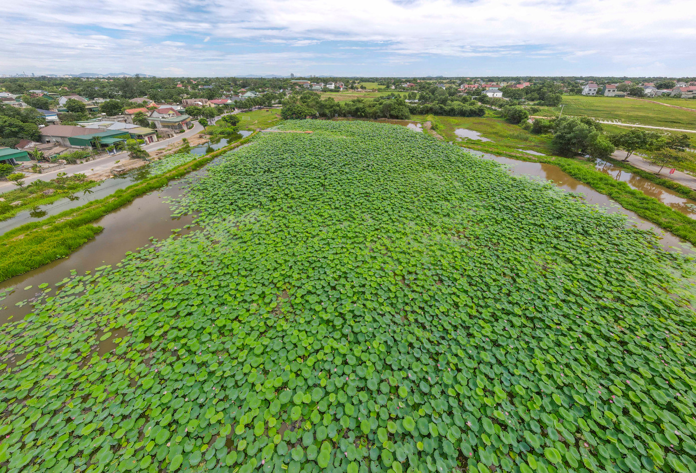 Ông Trần Minh Đức - Trưởng Ban Quản lý dịch vụ công ích và các điểm du lịch Nghi Xuân - cho biết, địa phương hiện có 2 mô hình trồng sen được định hướng cho việc phát triển du lịch sinh thái, ẩm thực, trải nghiệm. “Mỗi địa phương đều mong muốn phát huy các tiềm năng du lịch sẵn có từ chính trong người dân. Để làm được điều này cần sự hỗ trợ hơn từ tỉnh xã và ngành chức năng trong việc hoàn thiện các thủ tục giao đất, cho thuê đất và đẩy mạnh hơn việc quảng bá hình ảnh du lịch”, ông Đức chia sẻ.