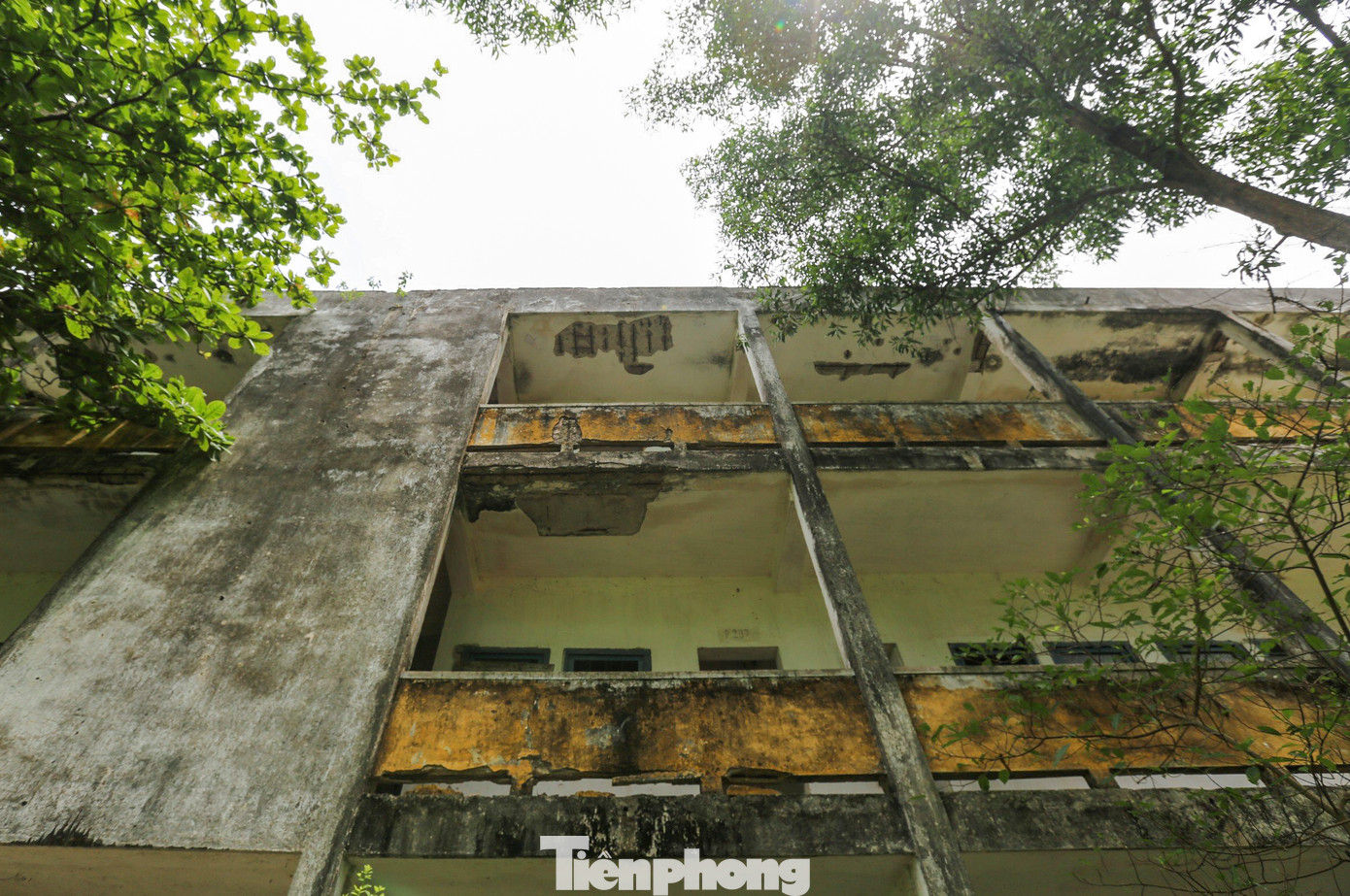 Theo ghi nhận, trong khuôn viên Trường Trung cấp Kỹ thuật và Phát triển Nông nghiệp Hà Tĩnh có một dãy nhà học 4 tầng; một ký túc xá 3 tầng; dãy nhà xưởng, nhà thí nghiệm 2 tầng nhưng không được sử dụng, bảo quản nên đã bị xuống cấp, mục nát.