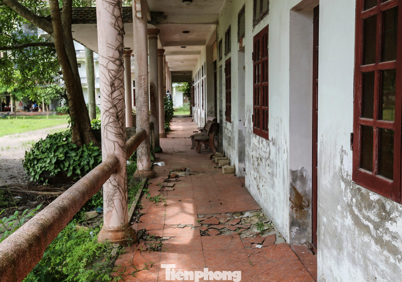 "Ngôi trường đã dừng hoạt động từ lâu, hiện cây cối mọc um tùm. Trước đây cũng có nhiều nhóm nghiện đến chích hút nhưng nay không còn tình trạng này nữa. Chúng tôi tận dụng những dãy nhà bỏ hoang để dự trữ rơm rạ và che mưa che nắng cho gia súc cũng không thấy ai nói gì”, ông Hoàng (thị trấn Xuân An) nói.