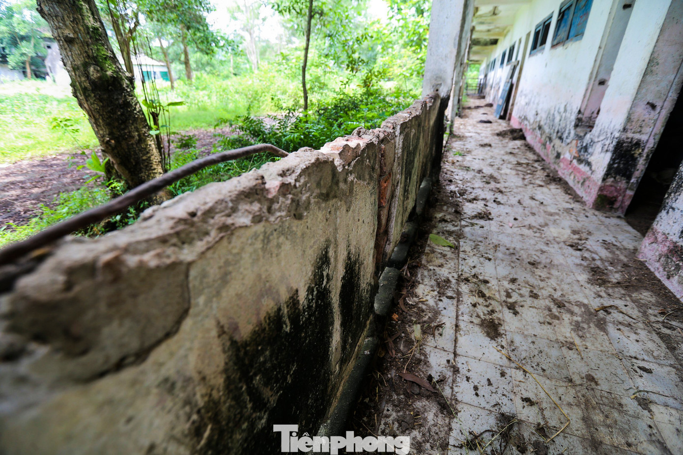 Công trình tiền tỷ được xây dựng với mục đích đào tạo nhân lực nay lại nằm “phơi nắng, phơi sương” khiến ai nấy cũng phải xót xa.