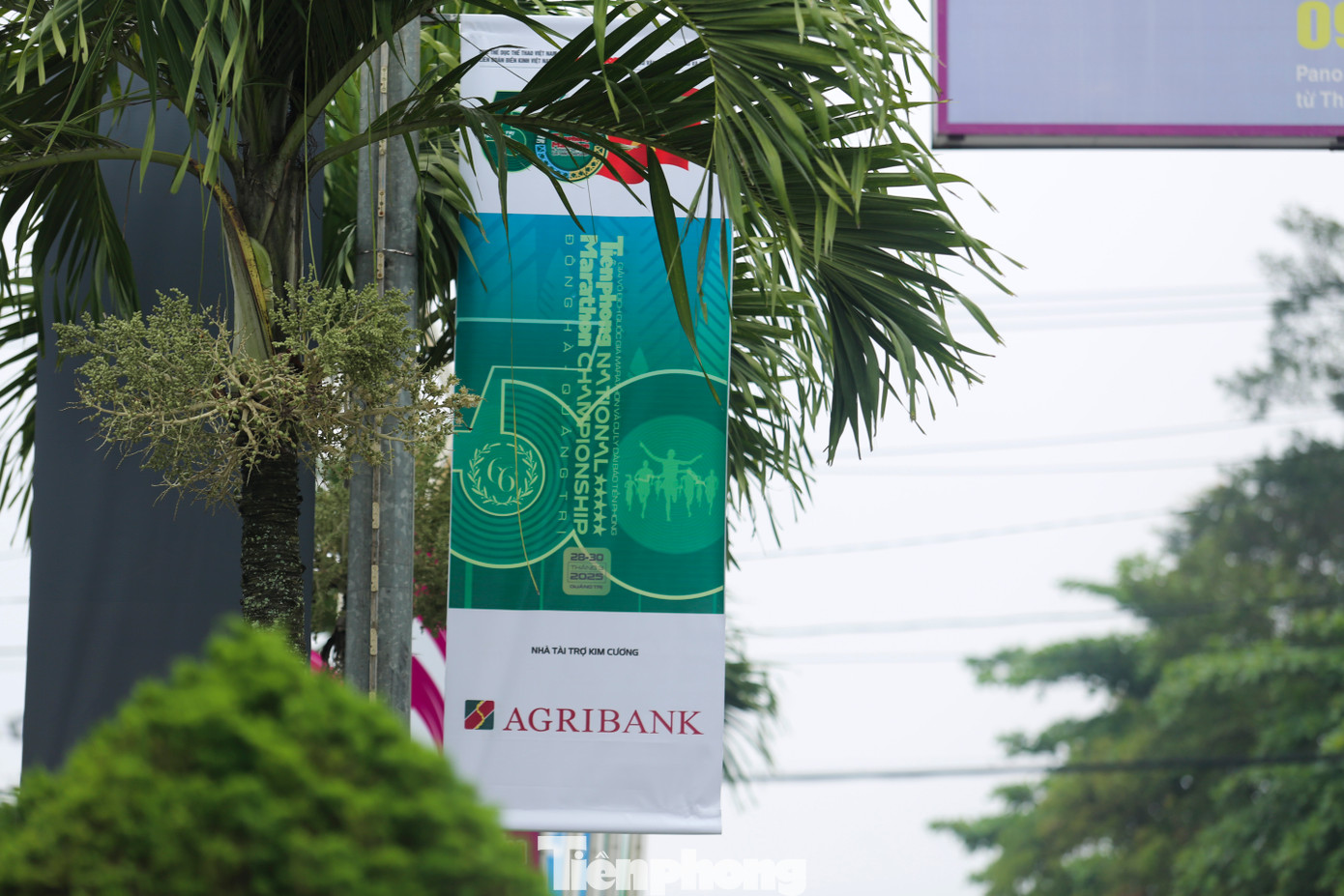 Màu xanh cũng là sự liên tưởng đến một Quảng Trị hồi sinh sau những đau thương chiến tranh, mảnh đất từng là bình địa hoang tàn nay trở nên trù phú, cây cối tươi xanh.