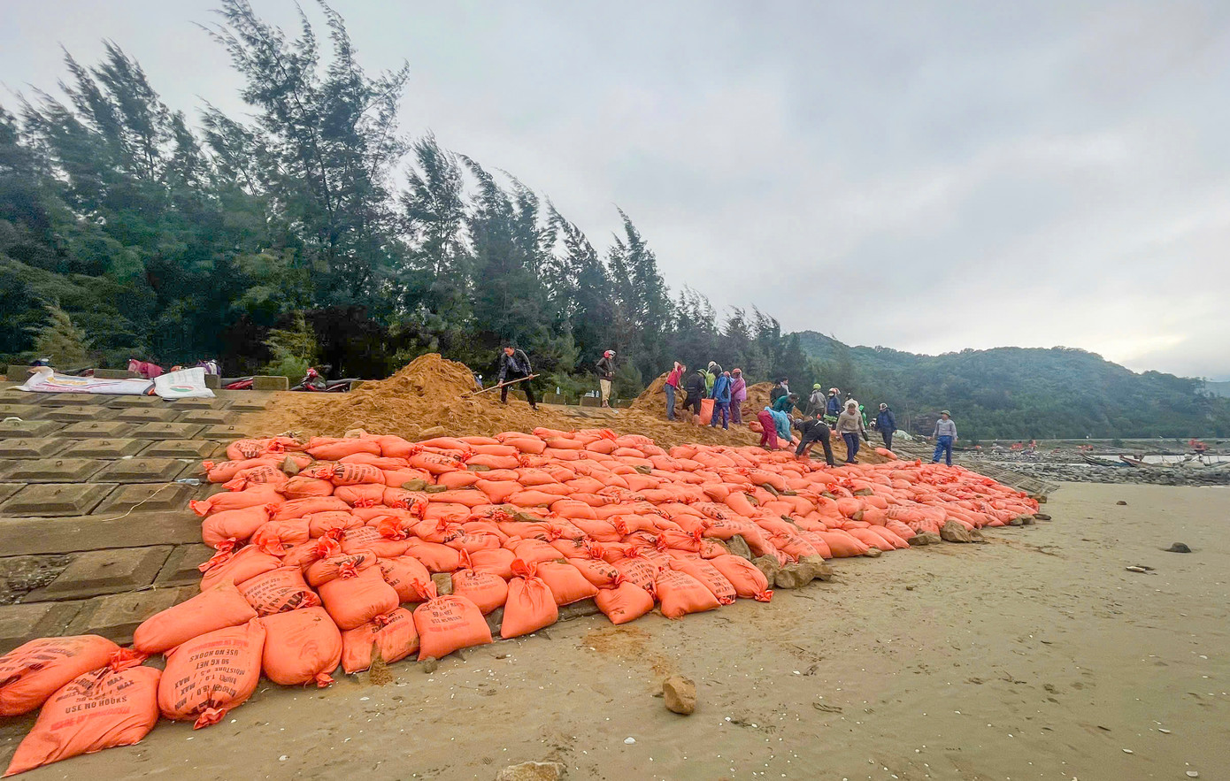 Nhiều đoạn kè biển bị xói lở, sụt lún phải gia cố khẩn cấp.