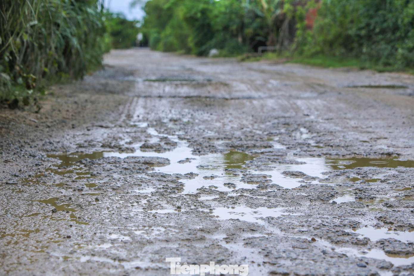 Ông Lê Quang Hùng - Chủ tịch UBND xã Xuân Liên cho biết, tuyến đường vào Khu di tích đền Lam Sơn hàng ngày đang "gánh" một lưu lượng xe lớn từ các mỏ khai thác khoáng sản trên địa bàn. Thời gian qua, người dân kiến nghị, phản ánh tình trạng tuyến đường này xuống cấp. Ông Lê Quang Hùng - Chủ tịch UBND xã Xuân Liên cho biết, tuyến đường vào Khu di tích đền Lam Sơn hàng ngày đang "gánh" một lưu lượng xe lớn từ các mỏ khai thác khoáng sản trên địa bàn. Thời gian qua, người dân kiến nghị, phản ánh tình trạng tuyến đường này xuống cấp.