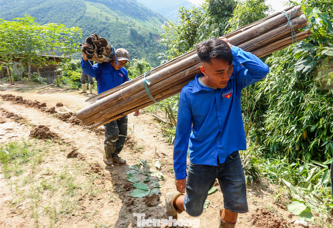 Lực lượng thanh niên cũng gom củi, vận chuyển đến điểm tập kết và khu vực đóng quân của lực lượng chức năng để hỗ trợ nấu ăn.
