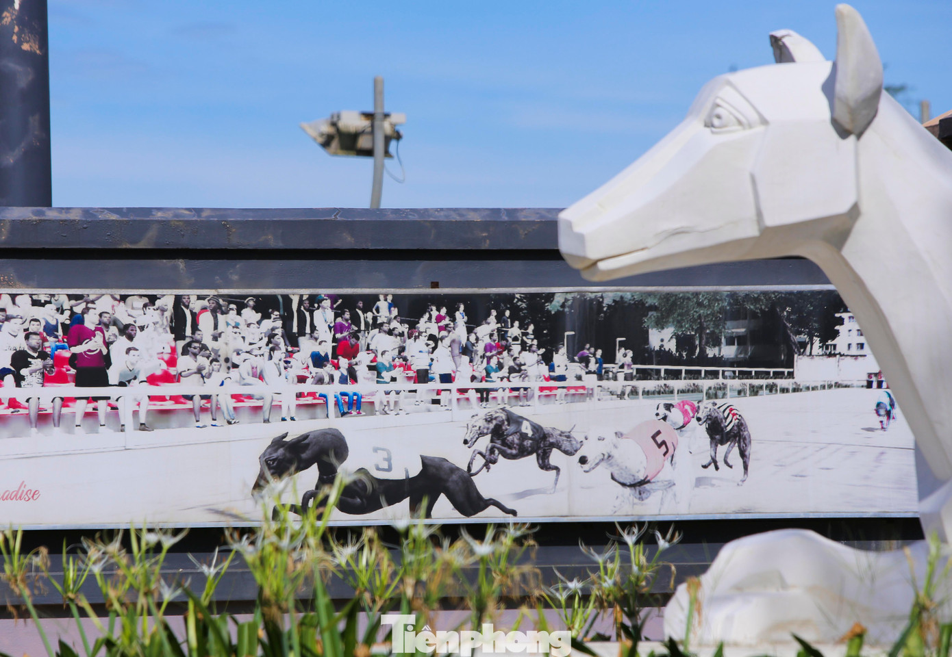 Sau ngày khai trương thí điểm vào năm 2018, trung tâm đua chó buộc phải tạm ngưng vận hành do vướng tiêu chí Hà Tĩnh chưa được Thủ tướng phê duyệt dự án này vào trong danh mục dự án ưu tiên đầu tư thời kỳ 2021-2030, tầm nhìn đến 2050.