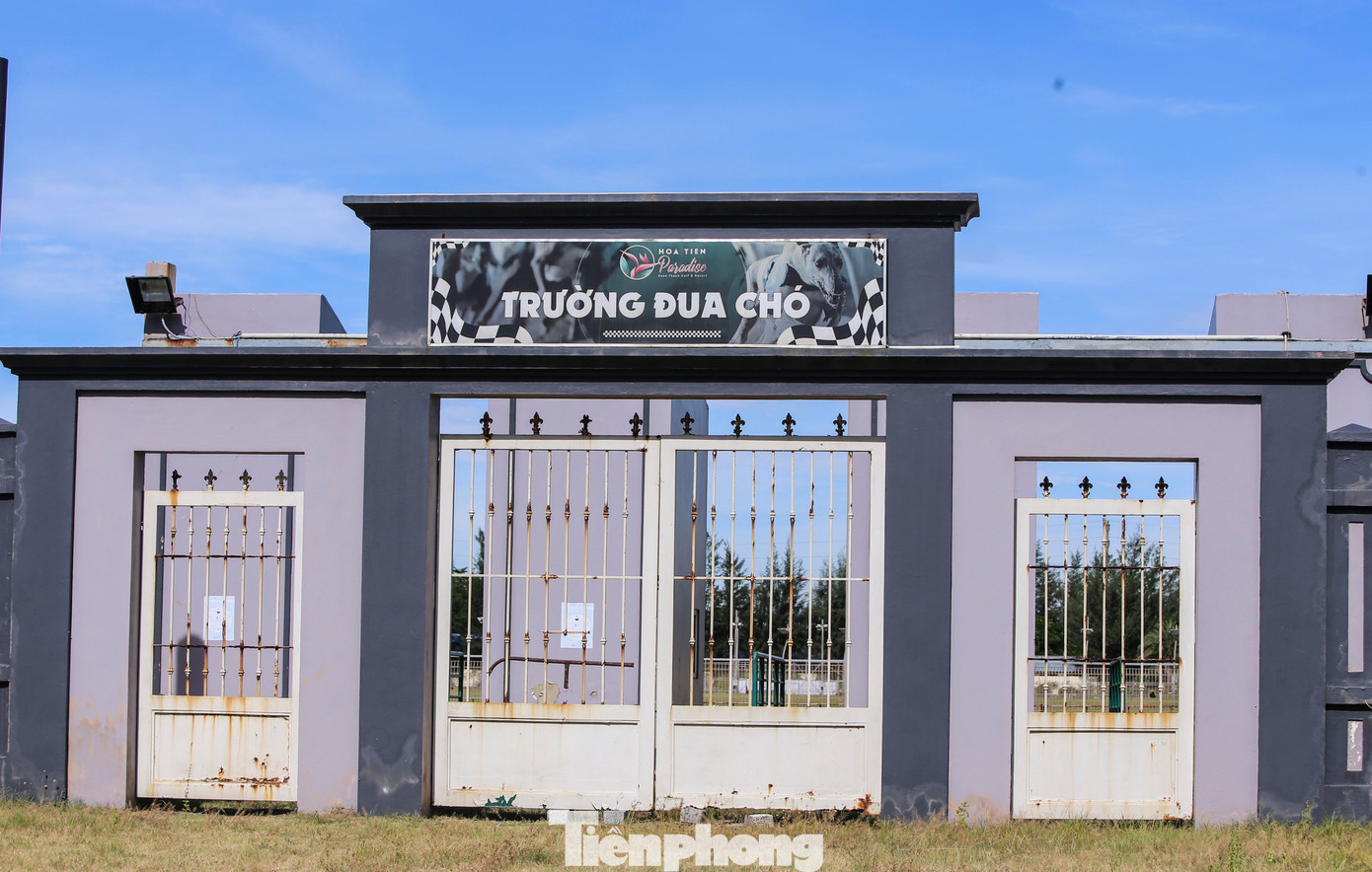 Ông Trần Minh Đức - Phó trưởng Ban Quản lý Dịch vụ công ích và các điểm du lịch huyện Nghi Xuân - cho biết, hiện Trung tâm dịch vụ thể thao giải trí đua chó Xuân Thành vẫn chưa thể đưa vào hoạt động do chưa được cấp phép cá cược đua chó.