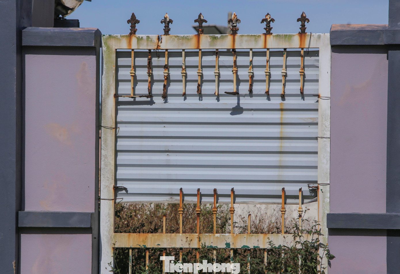 Ông Trần Minh Đức - Phó trưởng Ban Quản lý Dịch vụ công ích và các điểm du lịch huyện Nghi Xuân - cho biết, hiện Trung tâm dịch vụ thể thao giải trí đua chó Xuân Thành vẫn chưa thể đưa vào hoạt động do chưa được cấp phép cá cược đua chó.