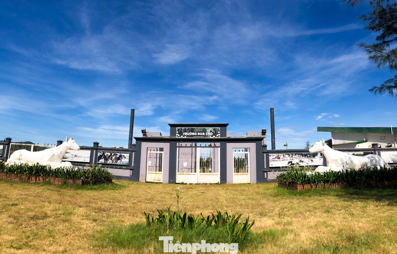 Dự án Trung tâm dịch vụ thể thao giải trí đua chó Xuân Thành xây dựng trên diện tích hơn 29.000m2 tại xã Xuân Thành (huyện Nghi Xuân, Hà Tĩnh) với tổng vốn đầu tư 300 tỷ đồng. Chủ đầu tư là Công ty Cổ phần đua chó Xuân Thành.