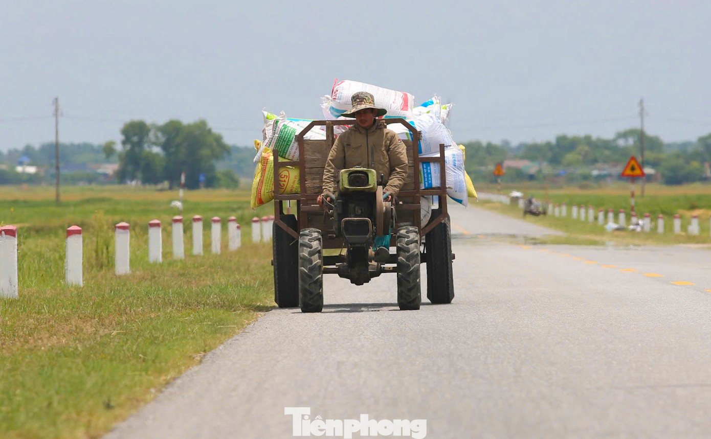 Những chuyến xe chở đầy ắp lúa về nhà để phơi cho kịp nắng. Những chuyến xe chở đầy ắp lúa về nhà để phơi cho kịp nắng.