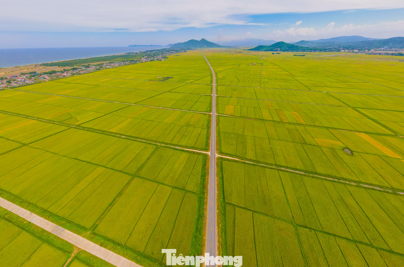 Cánh đồng rộng bạt ngàn hàng trăm héc ta đổi màu vàng óng như bức tranh tuyệt đẹp. Trong ảnh là cánh đồng lúa dọc tuyến đường ven biển huyện Kỳ Anh. Cánh đồng rộng bạt ngàn hàng trăm héc ta đổi màu vàng óng như bức tranh tuyệt đẹp. Trong ảnh là cánh đồng lúa dọc tuyến đường ven biển huyện Kỳ Anh.
