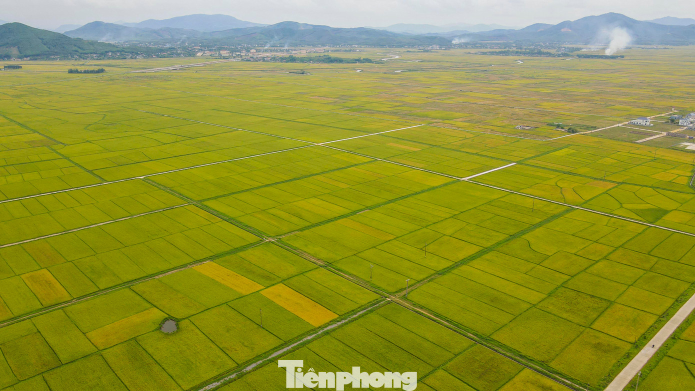 Theo nhiều nông dân, vụ mùa năm nay thời tiết thuận lợi, chưa gặp phải các đợt mưa lũ sớm nên lúa đạt năng suất cao. Cùng với đó, giá lúa khá cao khiến nông dân rất phấn khởi. Theo nhiều nông dân, vụ mùa năm nay thời tiết thuận lợi, chưa gặp phải các đợt mưa lũ sớm nên lúa đạt năng suất cao. Cùng với đó, giá lúa khá cao khiến nông dân rất phấn khởi.