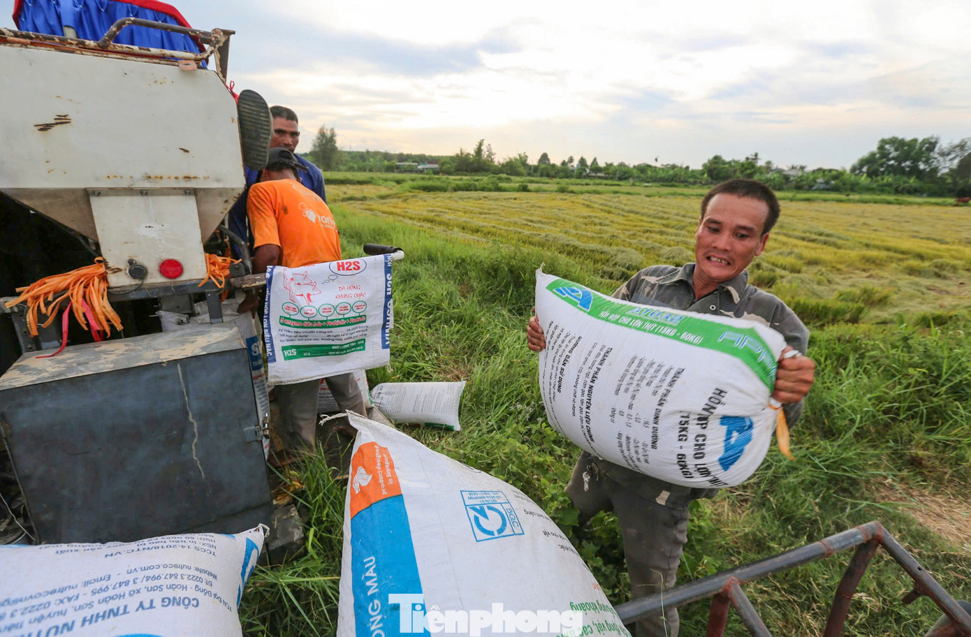 Nông dân hối hả mang lúa về nhà hoặc bán ngay tại ruộng cho thương lái, các hợp tác xã. “Vụ hè thu năm nay tôi chủ yếu sản xuất giống Khang Dân 18. Năng suất lúa đạt gần 3,5 tạ/sào. Với giá lúa xấp xỉ 6.500 đồng/kg, người dân đều phấn khởi vì được mùa, được giá”, ông Nguyễn Văn An (54 tuổi, trú huyện Cẩm Xuyên) chia sẻ. Nông dân hối hả mang lúa về nhà hoặc bán ngay tại ruộng cho thương lái, các hợp tác xã. “Vụ hè thu năm nay tôi chủ yếu sản xuất giống Khang Dân 18. Năng suất lúa đạt gần 3,5 tạ/sào. Với giá lúa xấp xỉ 6.500 đồng/kg, người dân đều phấn khởi vì được mùa, được giá”, ông Nguyễn Văn An (54 tuổi, trú huyện Cẩm Xuyên) chia sẻ.