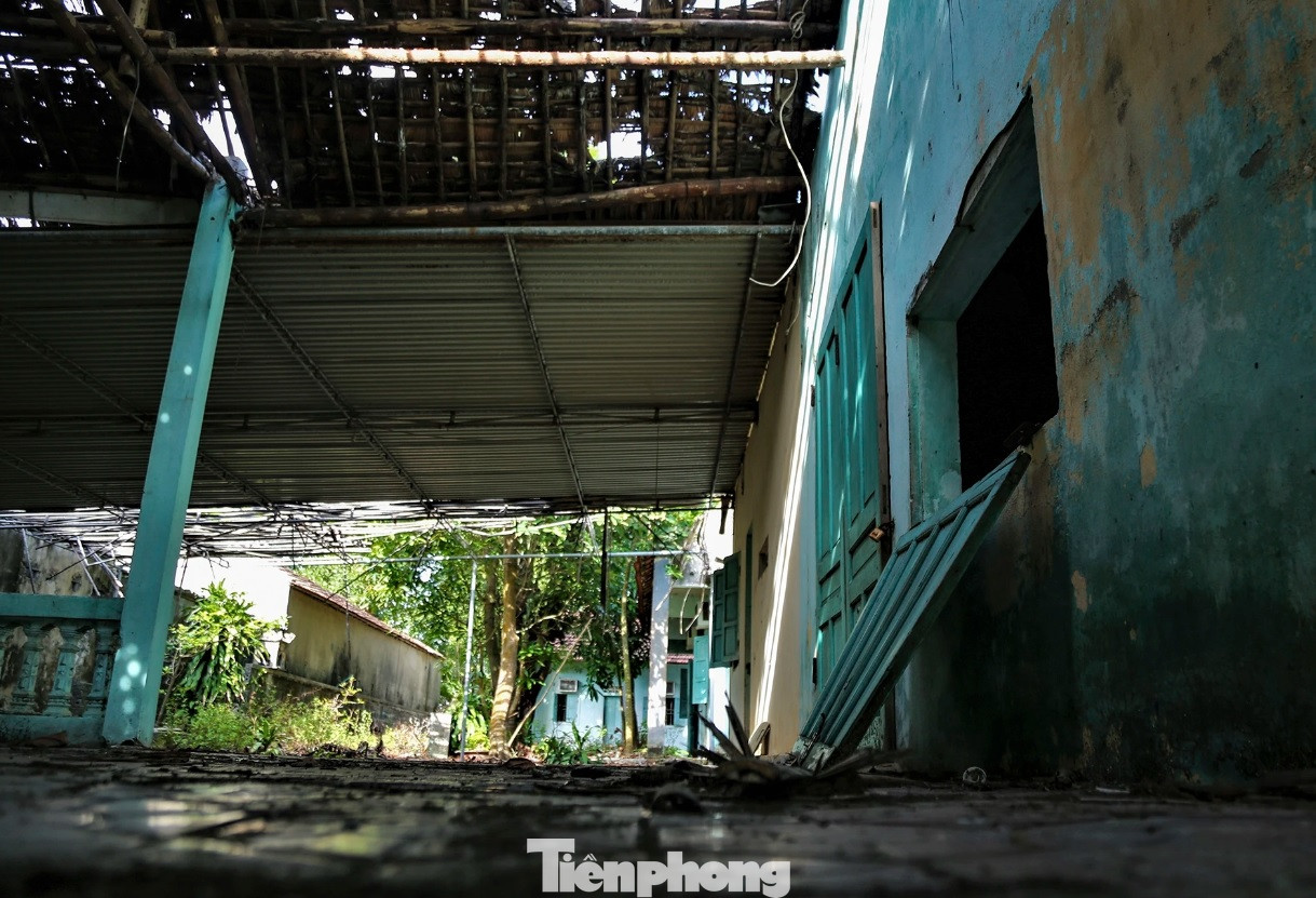 Nhiều năm bỏ hoang, những căn nhà từng là nơi lưu trú dọc bãi biển giờ bỏ hoang, các hạng mục công trình nhà ở xuống cấp, cây cối cũng vì thế mọc kín.