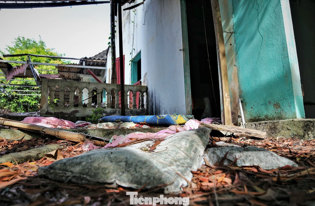 Nhiều năm bỏ hoang, những căn nhà từng là nơi lưu trú dọc bãi biển giờ bỏ hoang, các hạng mục công trình nhà ở xuống cấp, cây cối cũng vì thế mọc kín.