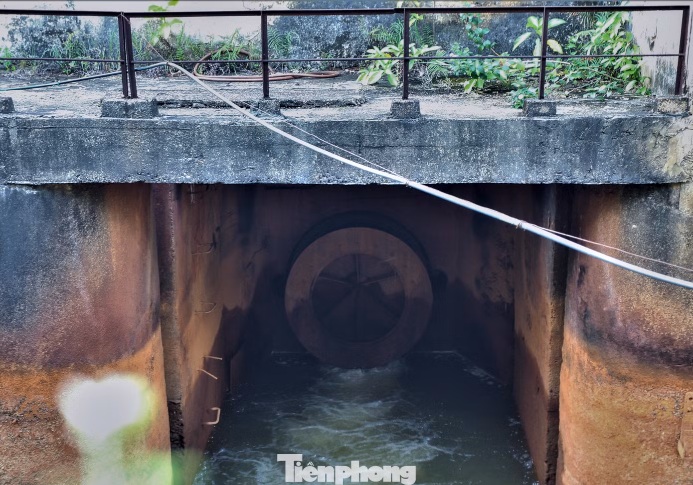 Một số vị trí khác tại cửa van phẳng thượng lưu, hệ thống van đĩa bị hỏng khiến van côn không thể đóng kín và gây rò nước, rung động lớn khi vận hành. Điều này gây nguy hiểm cho cống và thân đập.