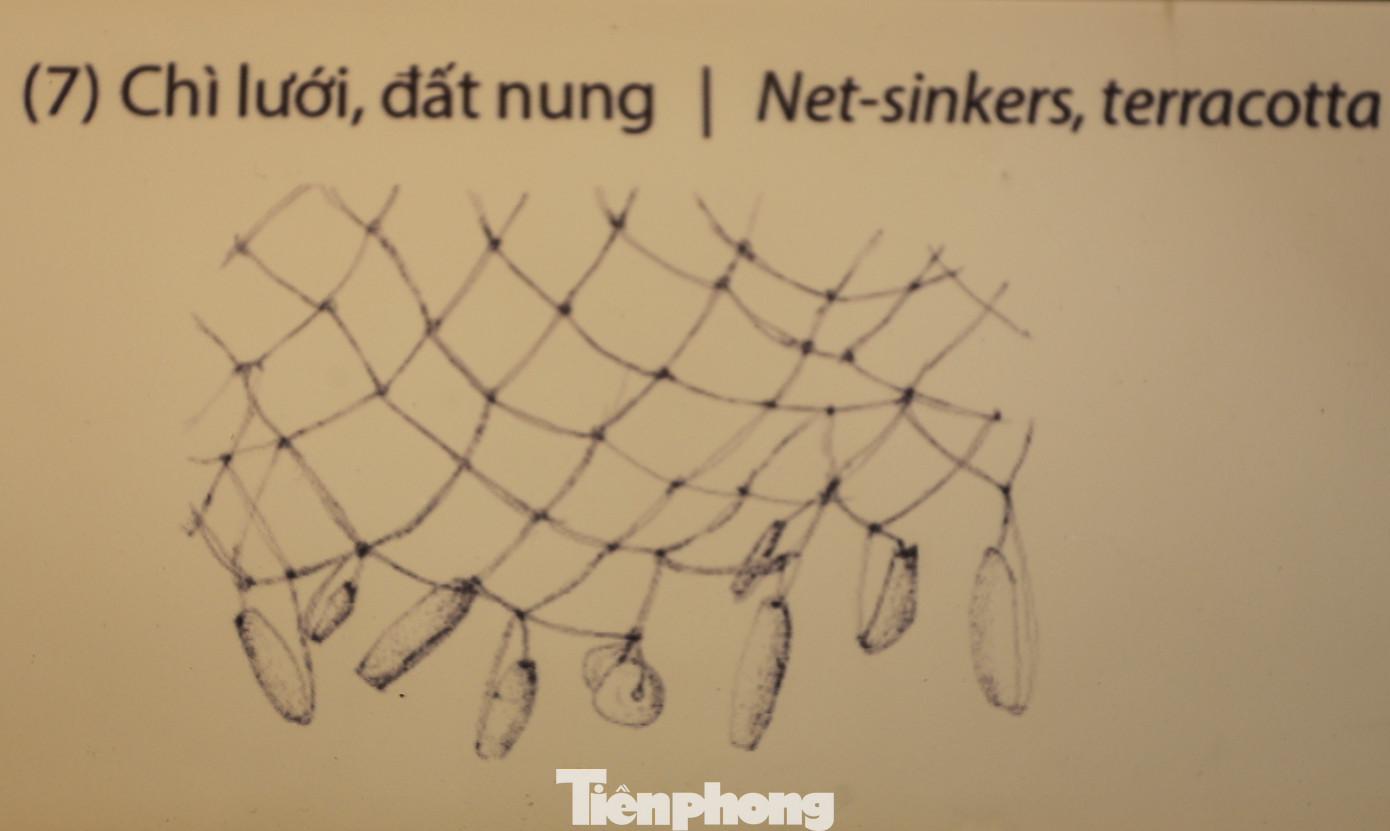 Công cụ, vũ khí kim loại cùng các vật dụng như chì lưới, dọi xe sợi bằng đất nung cho thấy đời sống kinh tế phong phú của cư dân Bãi Cọi. Đây là những cư dân nông nghiệp phát triển biết dùng cày, cuốc, có nghề làm gốm, nghề đánh cá và có thể cả nghề làm muối kết hợp với săn bắt, hái lượm những sản vật tự nhiên; nghề dệt vải cũng đã có mặt và phát triển trong cộng đồng này.