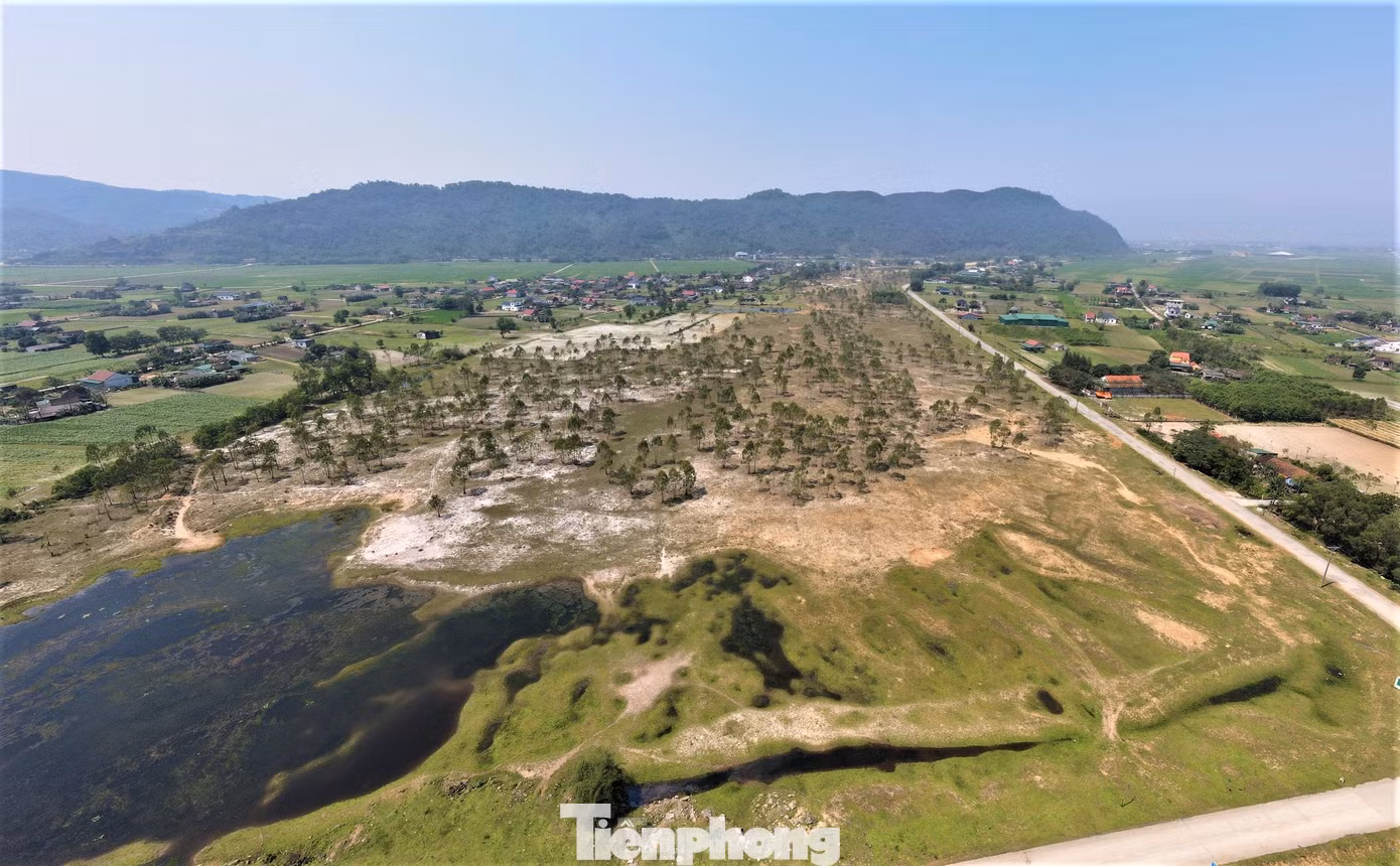 Di tích khảo cổ học Bãi Cọi là cụm di tích bao gồm Bãi Cọi và các địa điểm xung quanh như Bãi Lòi, Bãi Phôi Phối, thuộc xã Xuân Viên, huyện Nghi Xuân, tỉnh Hà Tĩnh. Khu vực này nằm dưới chân núi Hồng Lĩnh, cạnh dòng sông La, ranh giới tự nhiên giữa Nghệ An và Hà Tĩnh.