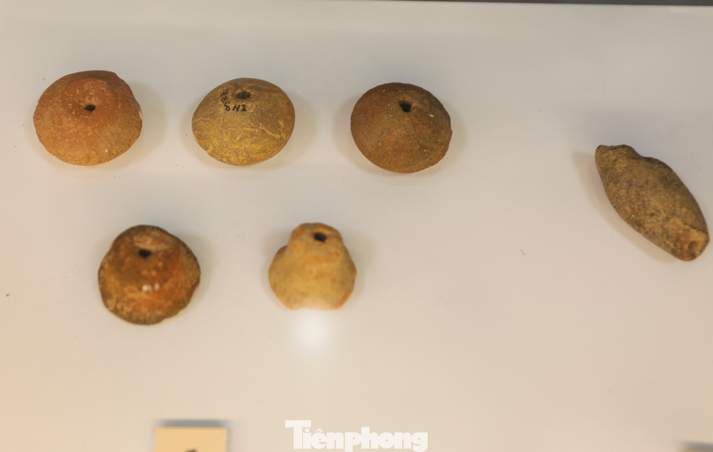 Công cụ, vũ khí kim loại cùng các vật dụng như chì lưới, dọi xe sợi bằng đất nung cho thấy đời sống kinh tế phong phú của cư dân Bãi Cọi. Đây là những cư dân nông nghiệp phát triển biết dùng cày, cuốc, có nghề làm gốm, nghề đánh cá và có thể cả nghề làm muối kết hợp với săn bắt, hái lượm những sản vật tự nhiên; nghề dệt vải cũng đã có mặt và phát triển trong cộng đồng này.