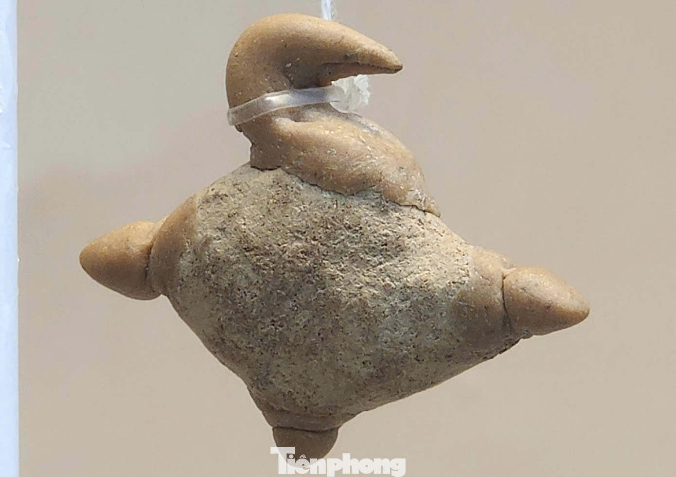 Bên trong mộ táng còn có khuyên tai kim loại, và vòng tay đồng cùng nhiều hiện vật như vũ khí kim loại và công cụ gồm rìu đồng, lao sắt, cuốc sắt.