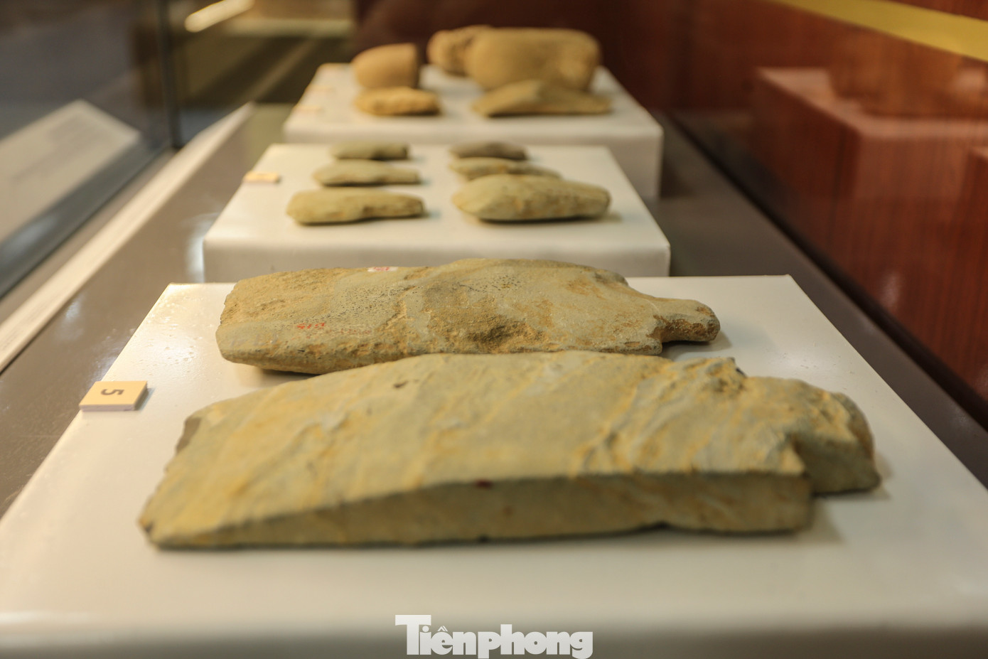 Công cụ, vũ khí kim loại cùng các vật dụng như chì lưới, dọi xe sợi bằng đất nung cho thấy đời sống kinh tế phong phú của cư dân Bãi Cọi. Đây là những cư dân nông nghiệp phát triển biết dùng cày, cuốc, có nghề làm gốm, nghề đánh cá và có thể cả nghề làm muối kết hợp với săn bắt, hái lượm những sản vật tự nhiên; nghề dệt vải cũng đã có mặt và phát triển trong cộng đồng này.