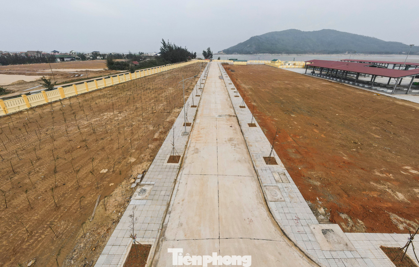 Hệ thống camera giám sát an ninh, đèn chiếu sáng trong các khu nhà tiếp nhận hải sản và cả đường nội bộ được bố trí.