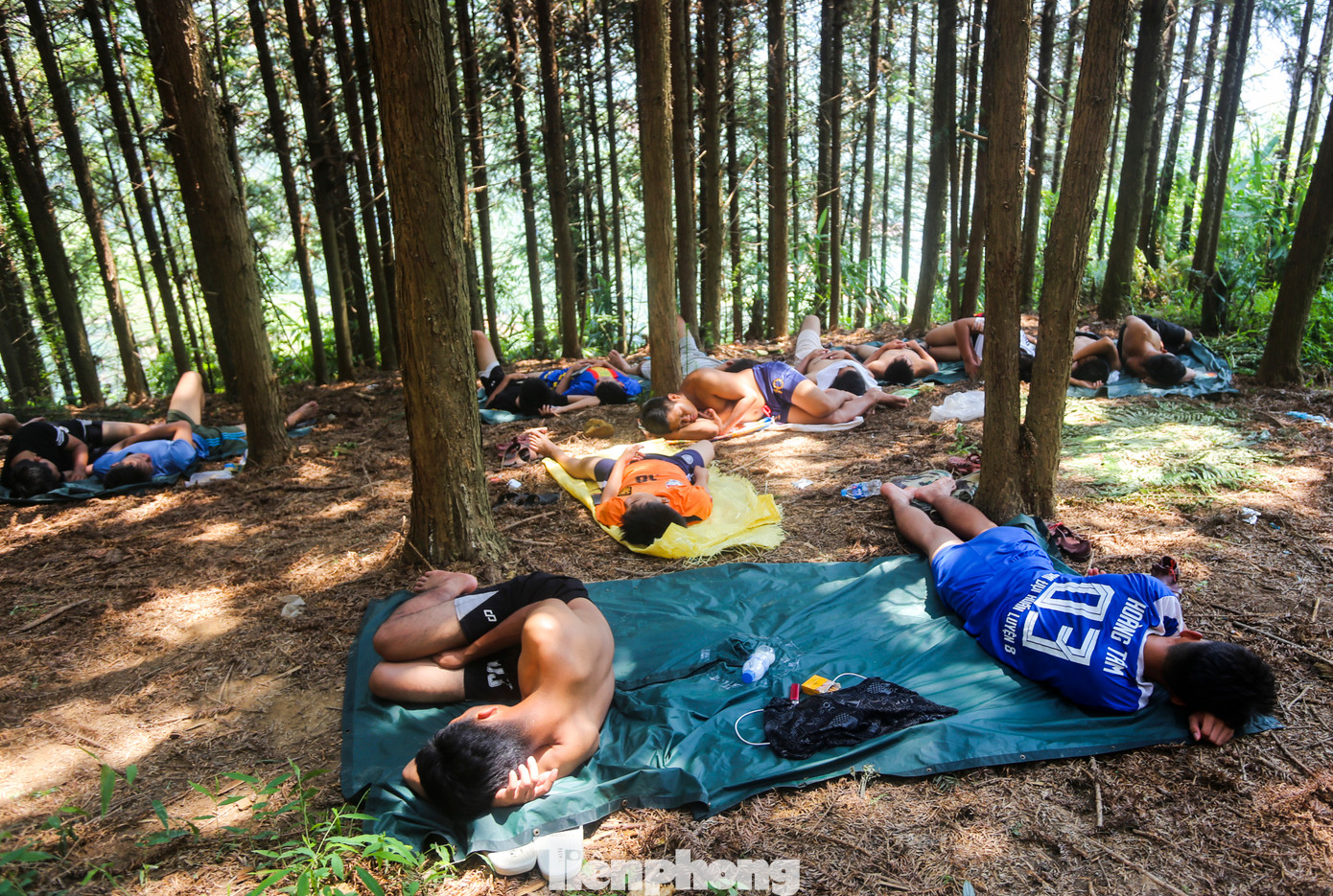 Sau bữa cơm, ngoài các lều bạt, chỗ nghỉ đã được bố trí, một số chiến sĩ tranh thủ ngủ giữa rừng thông giữa đỉnh đồi.