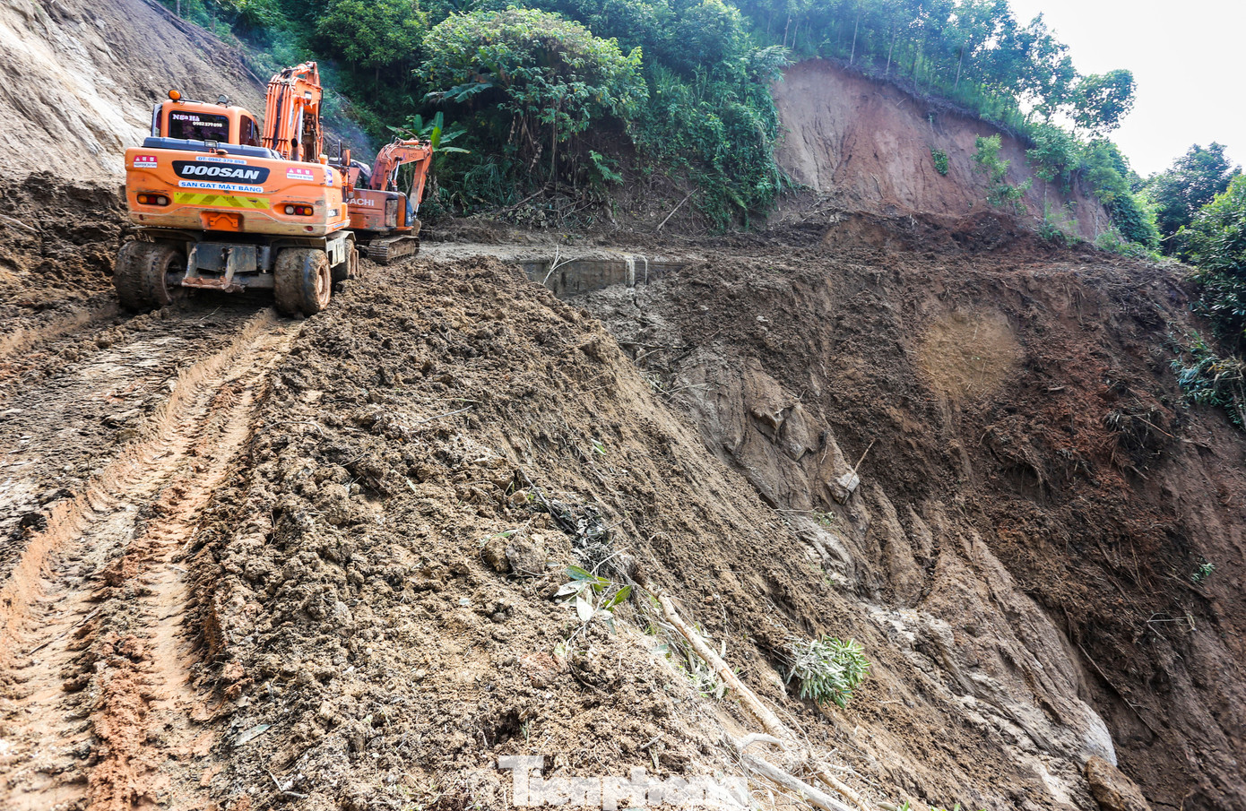 Toàn huyện có hàng nghìn điểm sạt lở.