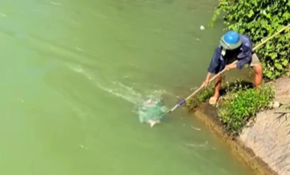 Người dân vớt cá lên bờ. Người dân vớt cá lên bờ.