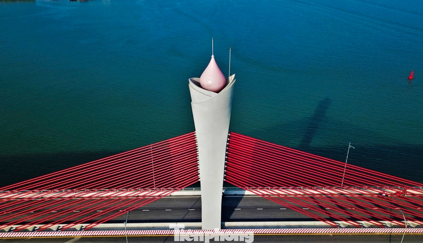 Điểm nhấn kiến trúc của cầu nằm trên đỉnh cột bê tông với biểu tượng hình búp sen. Cột bê tông này cũng là nơi lắp dây văng dẫn xuống phía dưới.