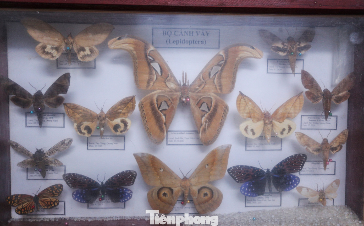 VQG Vũ Quang cũng đang lưu giữ nhiều mẫu vật về các loài động, thực vật thể hiện sự đa dạng sinh học.