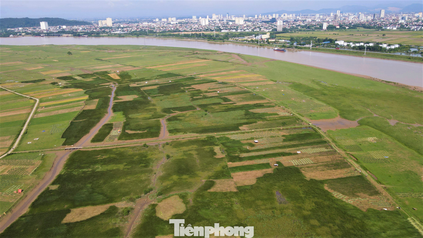 Nằm gọn giữa dòng sông Lam - Thôn Hồng Lam (xã Xuân Giang, Nghi Xuân, Hà Tĩnh) bốn bề bao quanh là nước. Người dân vùng "ốc đảo" này bao năm sinh sống dựa vào hai loại cây trồng chính là cây lạc và cói.